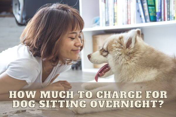 How much to charge for dog sitting overnight